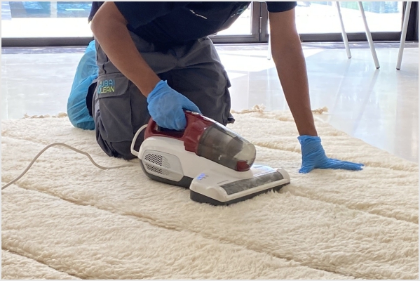 Carpet Cleaning
